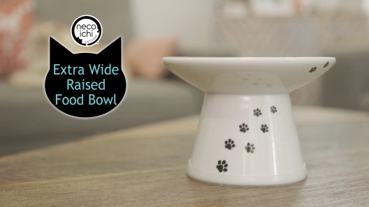 Yangbaga Elevated Ceramic Cat Bowl Review - What You'll Get