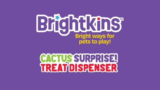Play Video: Learn More About Brightkins From Our Team of Experts