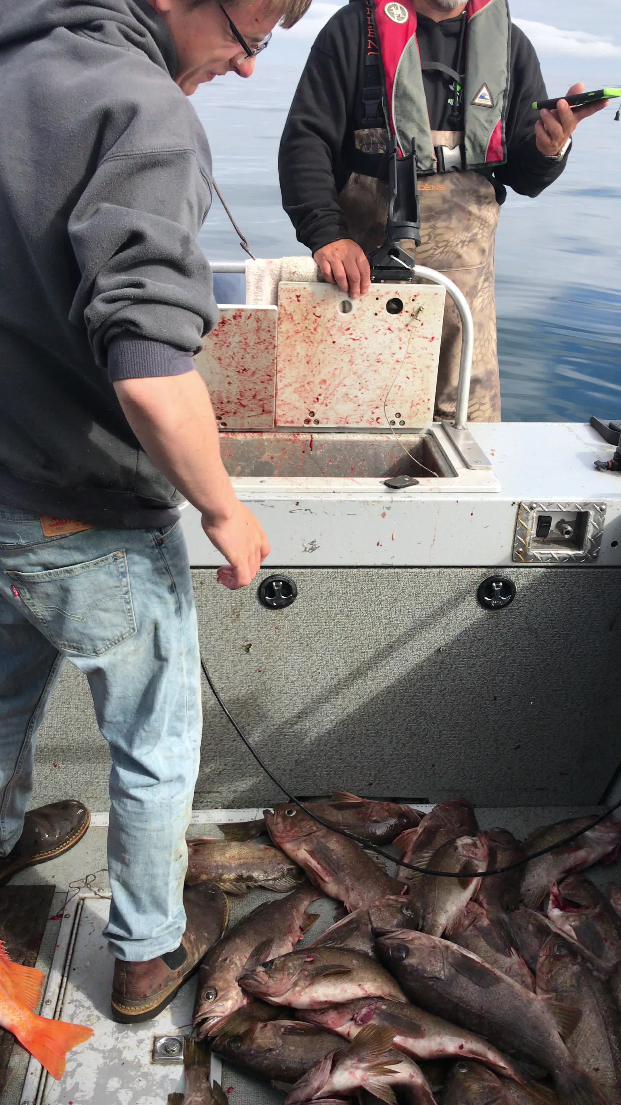 Long Leader Rockfish Winchester Bay Fishing Report FishingBooker