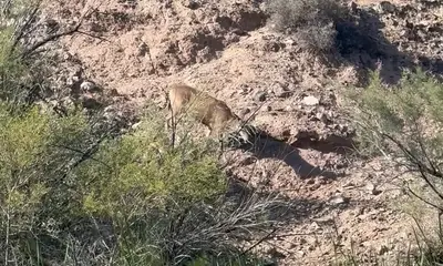 Lake Havasu City Report Video 1