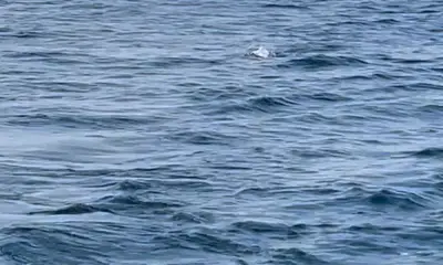 Florida anglers limit out on Lake Erie 