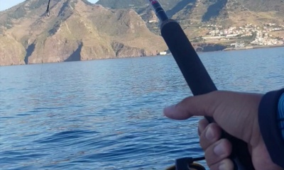 Funchal Report Video 4