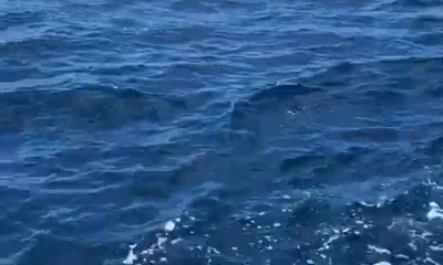 Herradura Bericht Video 0