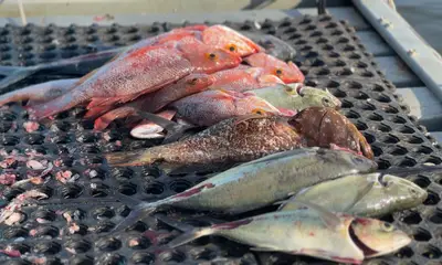 Chiriqui Report Video 1