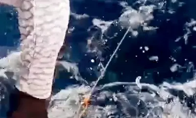 Playa Del Carmen Report Video 1