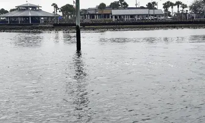 3\/4\/26 Nearshore\/Inshore Fun (6 hr)