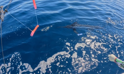 Herradura Report Video 0