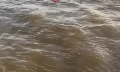 Matagorda Bay Report Video 1