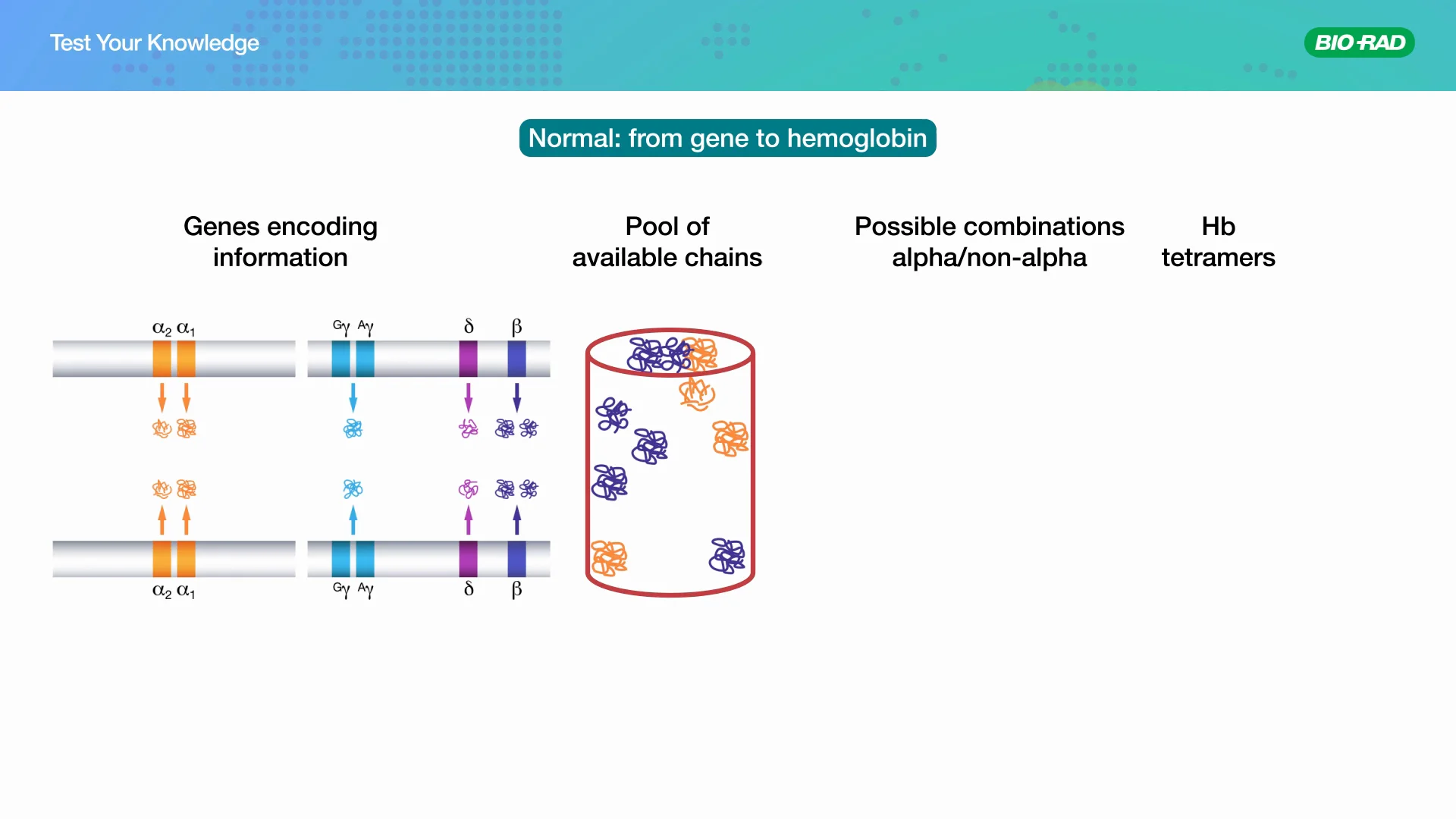 TYK Hemoglobin Variants Case 1