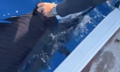 St. Thomas Report Video 2