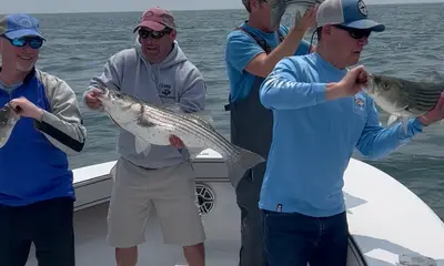 Dennis Report Video 0