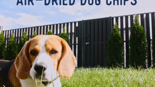 Play Video: Learn More About Beg & Barker From Our Team of Experts