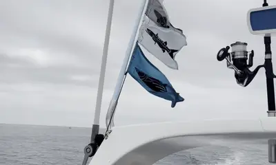 Adams a awesome Captain 