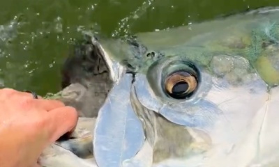 Fort Myers Report Video 0
