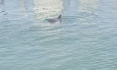 Half day well spent!!!