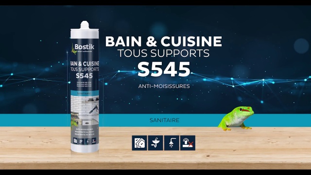 Mastic Bain & Cuisine Pure Silicone Anti-Moisissures Transparent