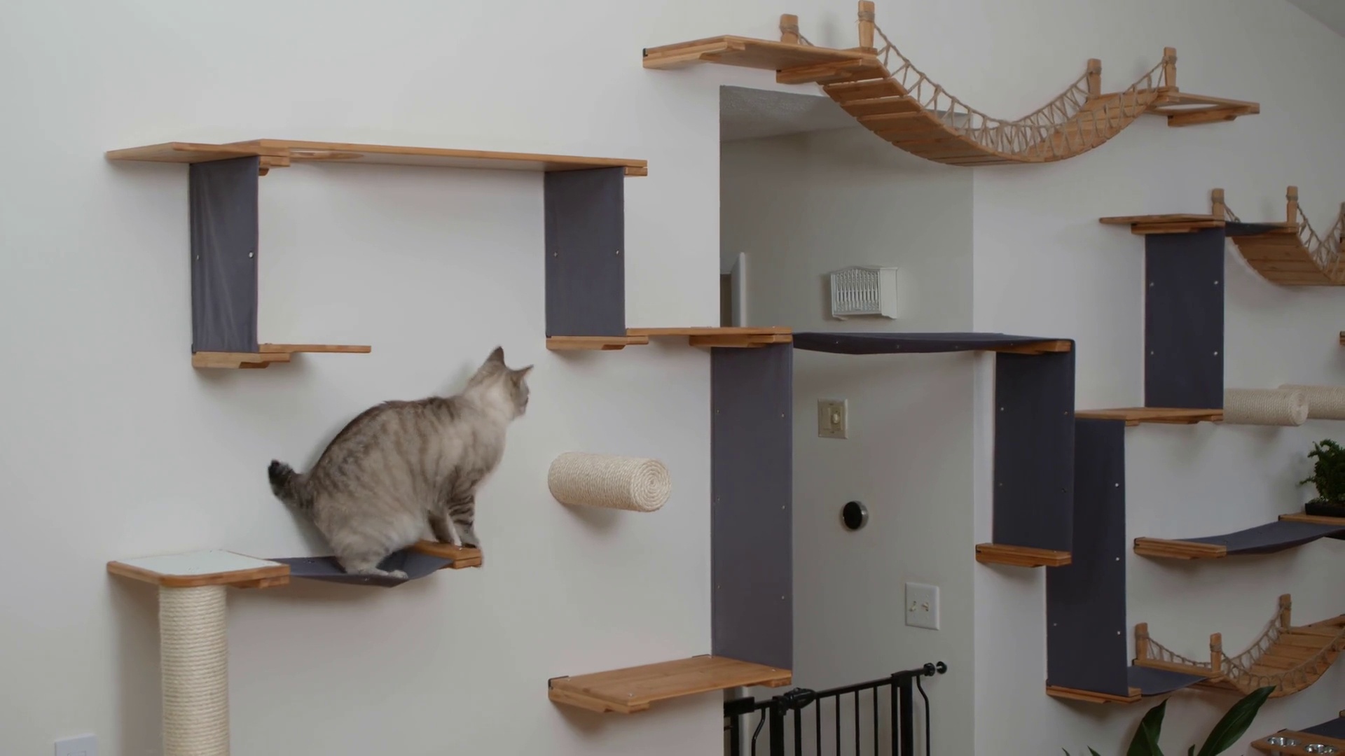 Cat jungle gym store wall