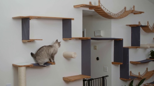 Cat Wall Shelf