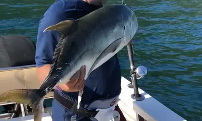 Puerto Vallarta Report Video 1
