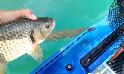 Great day fishing