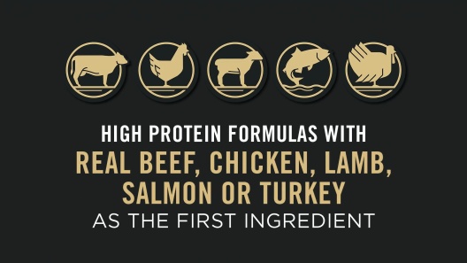 Purina Pro Plan Adult Shredded Blend Salmon & Rice Formula Dry Dog Food