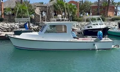 San Jose del Cabo Report Video 0