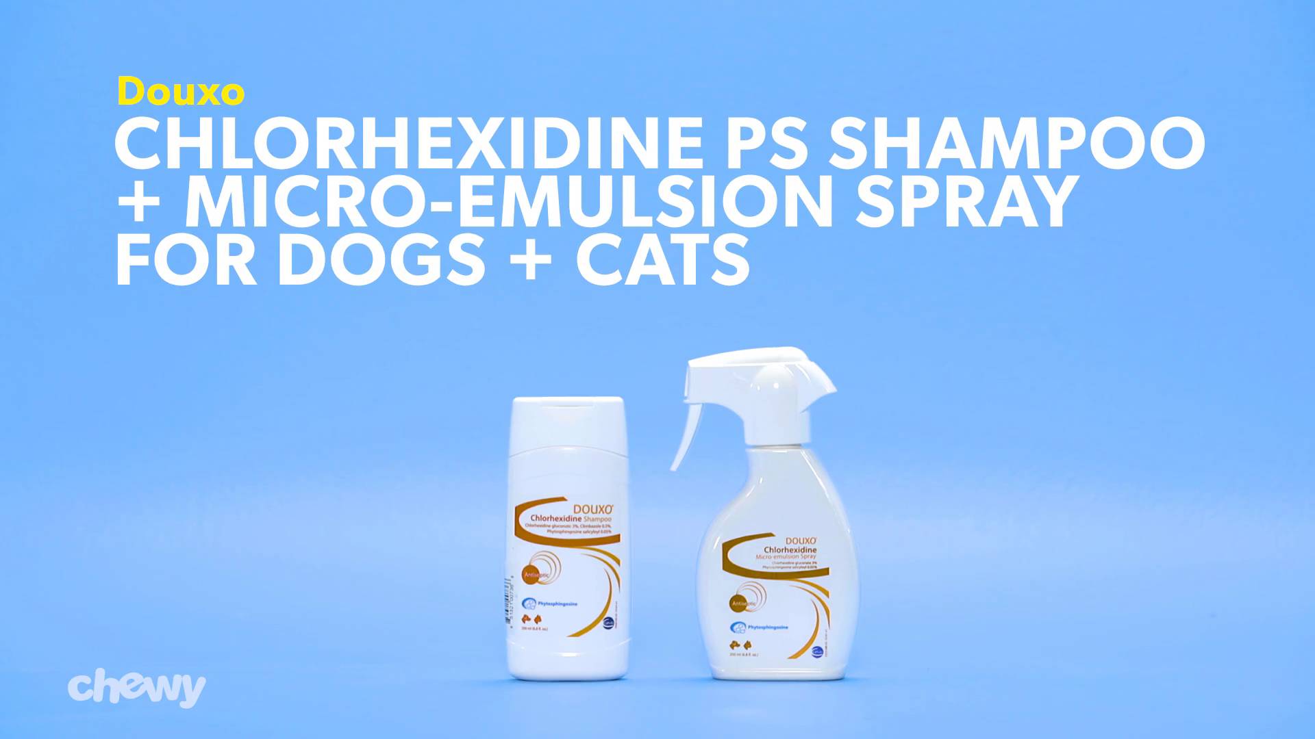 Douxo chlorhexidine ps dog & sale cat shampoo