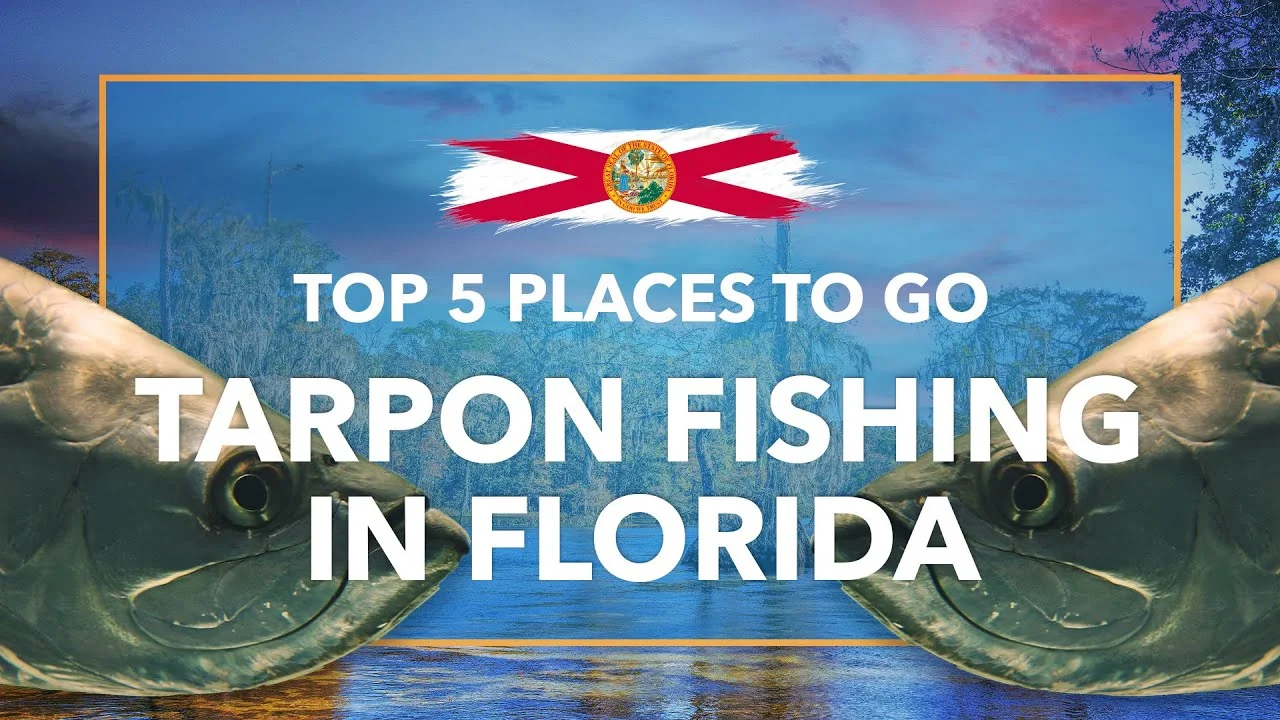 Tarpon Fishing in Florida: The Complete Guide (Updated 2022)