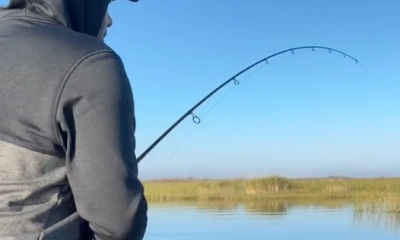 Clewiston Report Video 0