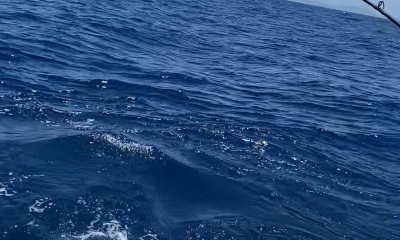 it was good, wind and seas wee rough this time
