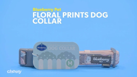 Play Video: Learn More About Blueberry Pet From Our Team of Experts