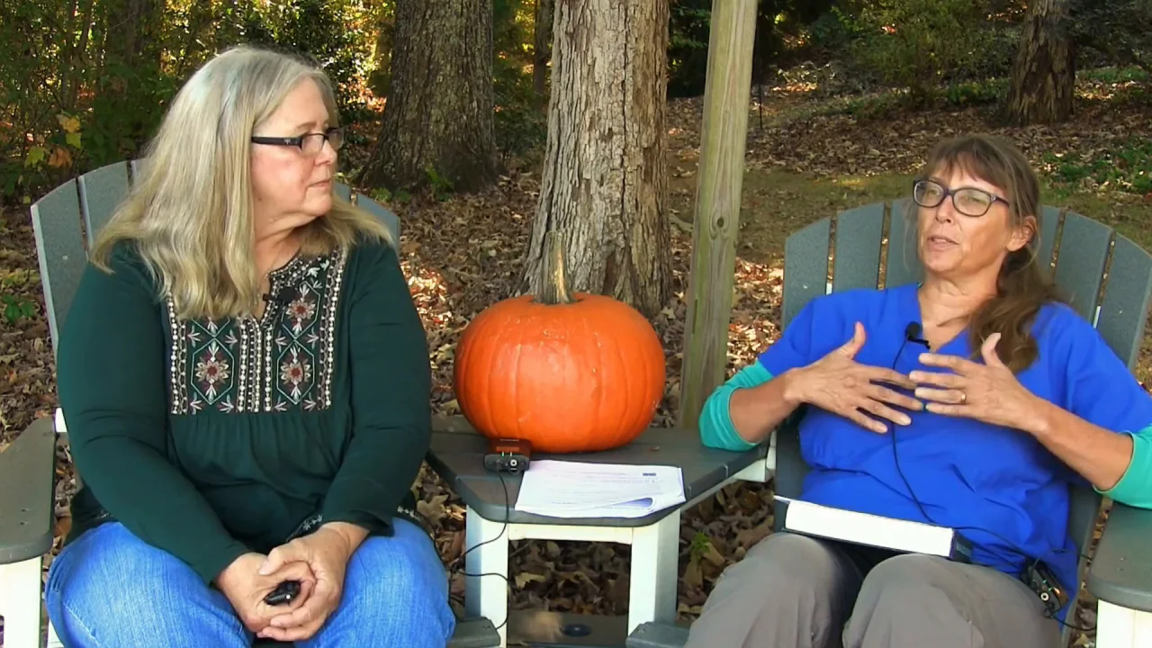 Can Changing Your Dogs Food Make Them Sick