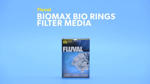Play Video: Learn More About Fluval From Our Team of Experts