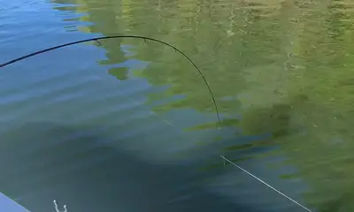 Atlanta Verslag Video 0