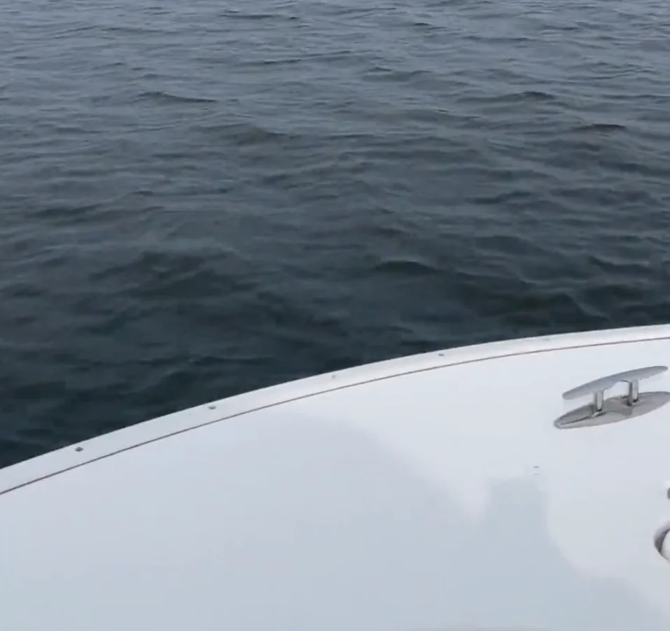 Business Card: C&S Sportfishing