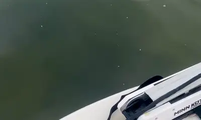 Atlantic Beach Report Video 0