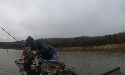 Russellville Report Video 0