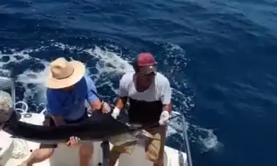 Cabo San Lucas Report Video 0