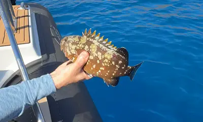 Pantanassa Report Video 0