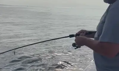 Narragansett Report Video 0