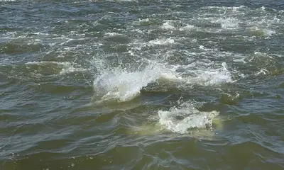 Biloxi Report Video 2