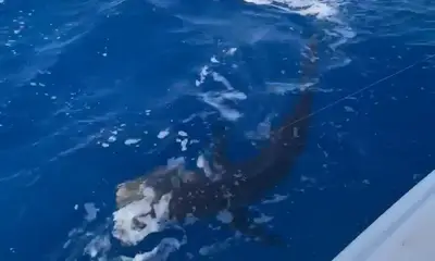 June fishing trip