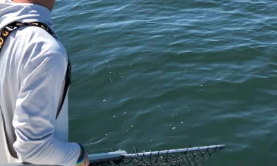 South Amboy Report Video 0