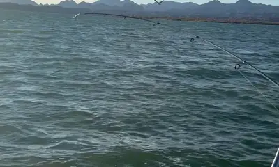 Lake Havasu City Report Video 2