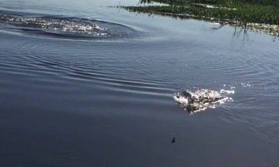 Lake Worth Bericht Video 0