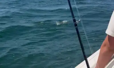 Best Way to Spend the Day