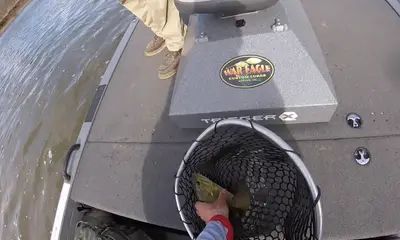 Smallmouth and Catfish On Fire