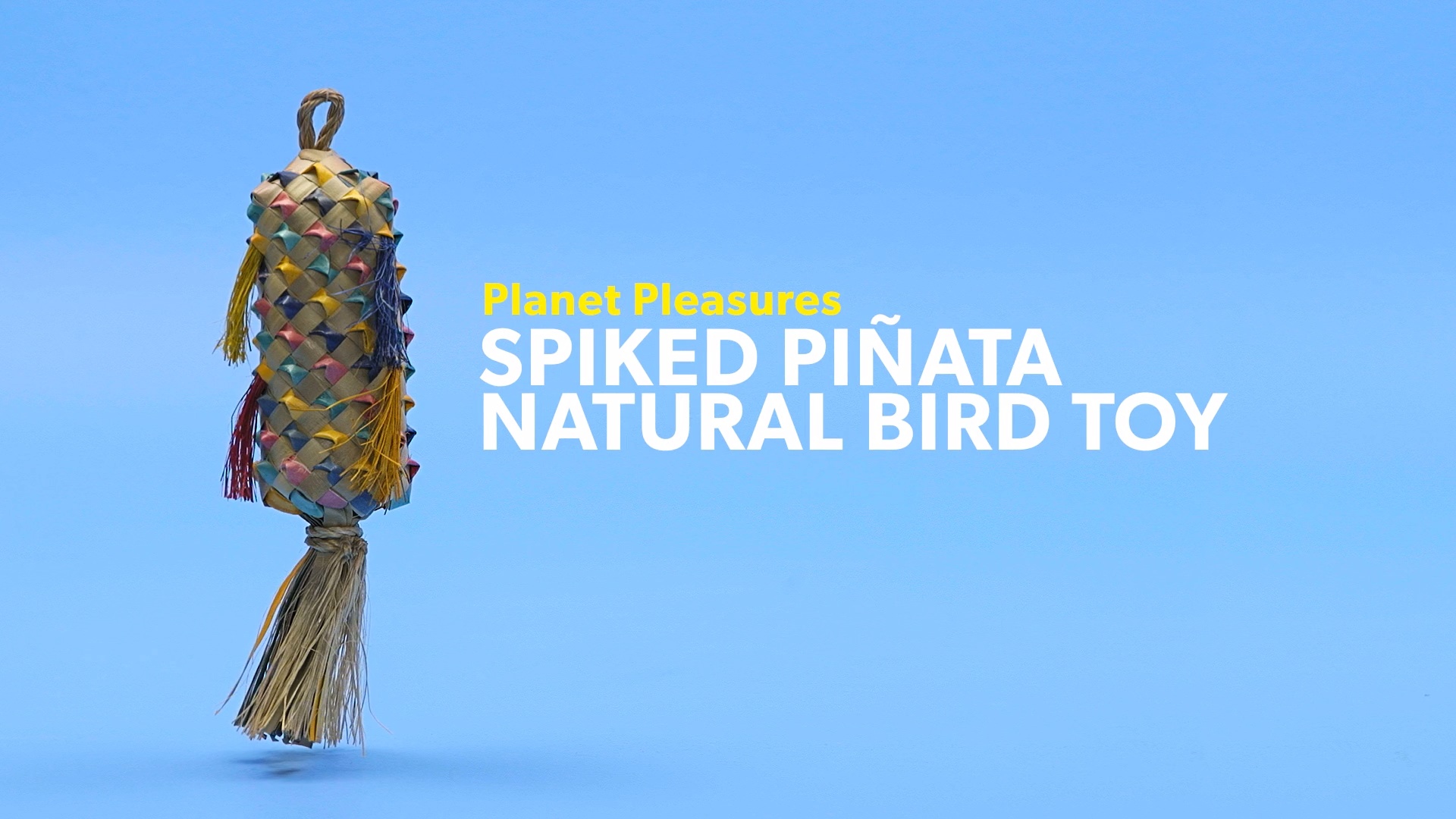 planet pleasures bird toys