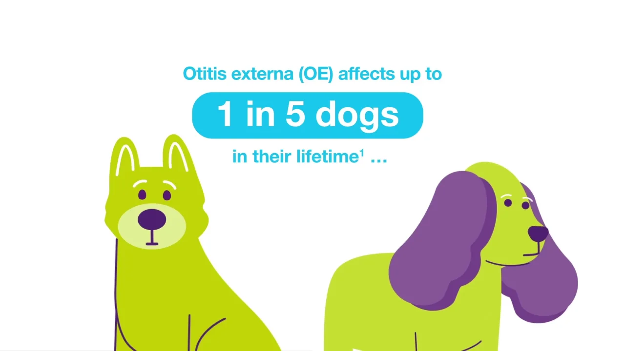 Otitis externa clearance dog antibiotic