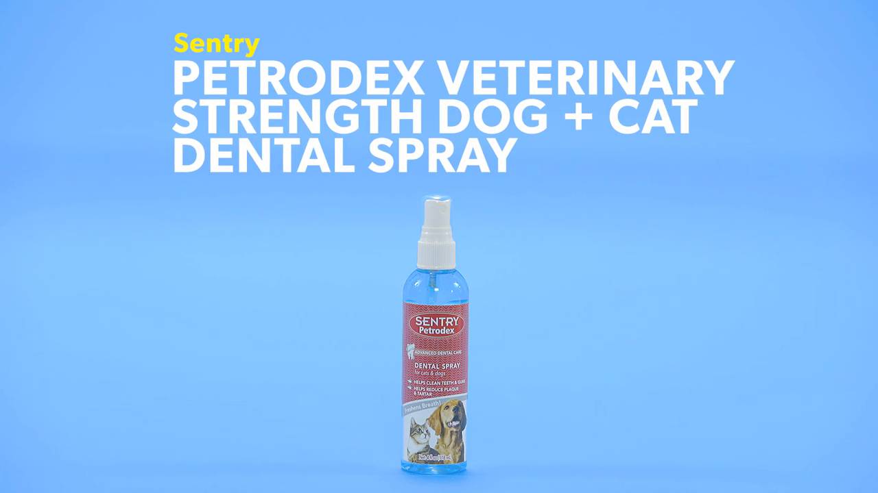 Sentry petrodex 2025 dental spray